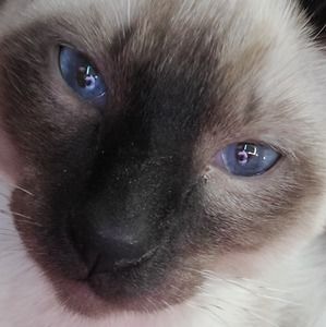 Meet your Posher, Glennis